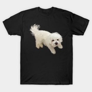 Bichon Frise Dog T-Shirt